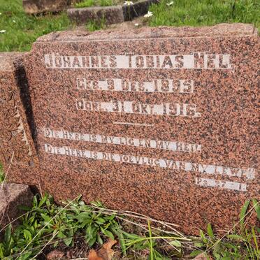 NEL Johannes Tobias 1895-1916