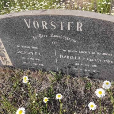 VORSTER Jacobus C.C. 1881-1972 &amp; Isabella E. BUYTENDAG 1885-1970