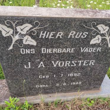 VORSTER J.A. 1892-1949
