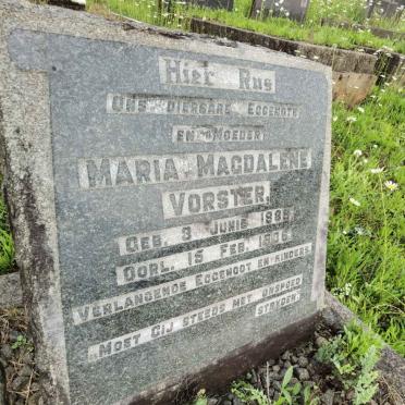 VORSTER Maria Magdalene 188?-1936