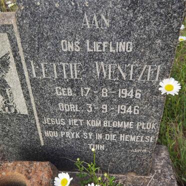 WENTZEL Lettie 1946-1946