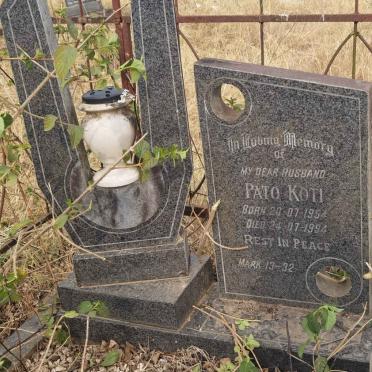 KOTI Pato 1954-1994