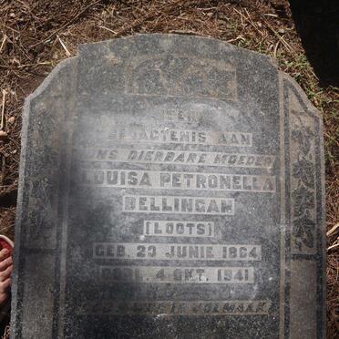 BELLINGAN Louisa Petronella nee LOOTS 1864-1941