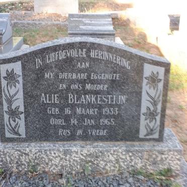 BLANKESTIJN Alie 1933-1965