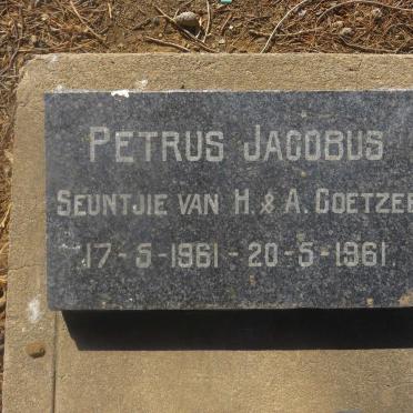 COETZEE Petrus Jacobus 1961-1961