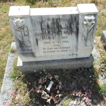 MERWE Barend J.  1864-1936