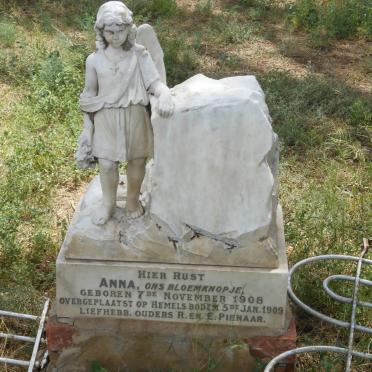 PIENAAR Anna 1908-1909