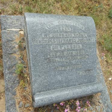 PLESSIS Hendrik Stephanus Johannes, du 1880-1931
