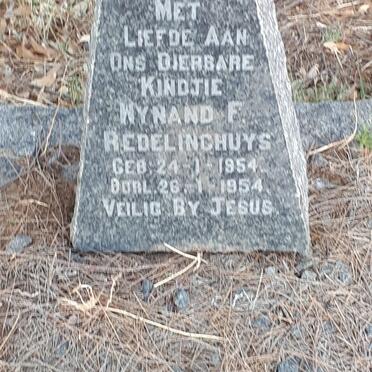 REDELINGHUYS Wynand F. 1954-1954