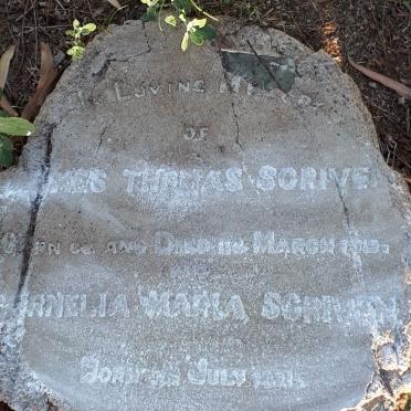 SCRIVEN James Thomas 1919-1919 :: SCRIVEN Cornelia Maria