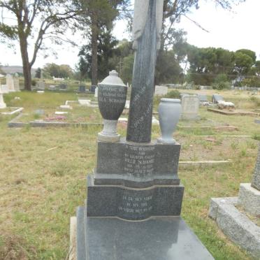 SCHOOMBEE Willie 1880-1963