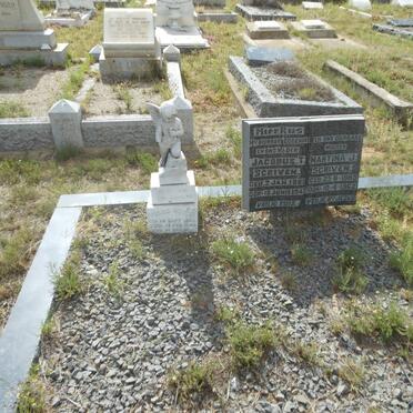 SCRIVEN Jacobus T. 1880-1942 &amp; Martina J. 1885-1962 :: SCRIVEN Pauline 1926-1935