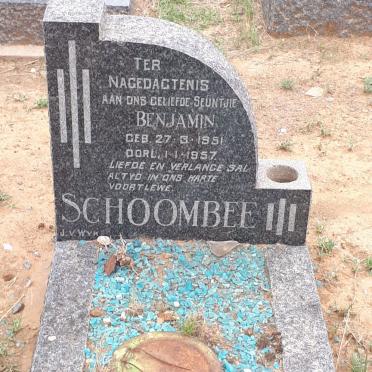 SCHOOMBEE Benjamin 1951-1957