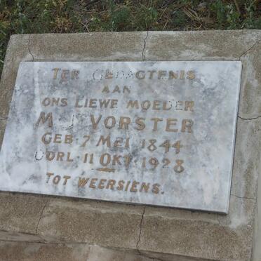 VORSTER M.J. 1844-1928