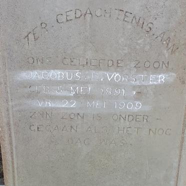 VORSTER Jacobus L. 1891-1909