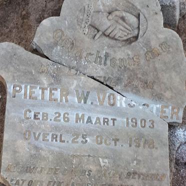 VORSTER Pieter W. 1903-1918