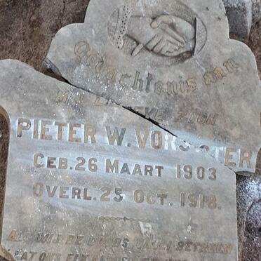 VORSTER Pieter W. 1903-1918