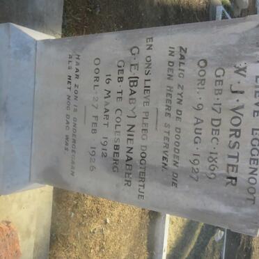 VORSTER W.J. 1869-1927 :: G.E. NIENABER 1912-1926 