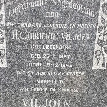 VILJOEN H.C. nee LIEBENBERG 1897-1948