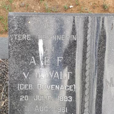 WALT A.E.F., v.d. nee DUVENAGE 1893-1961