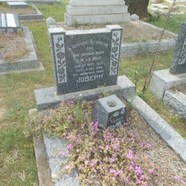 WALT J.M., van der 1872-195?