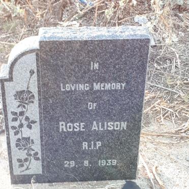 ALISON Rose -1939