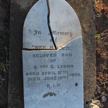 LYONS Harris 1902-1902