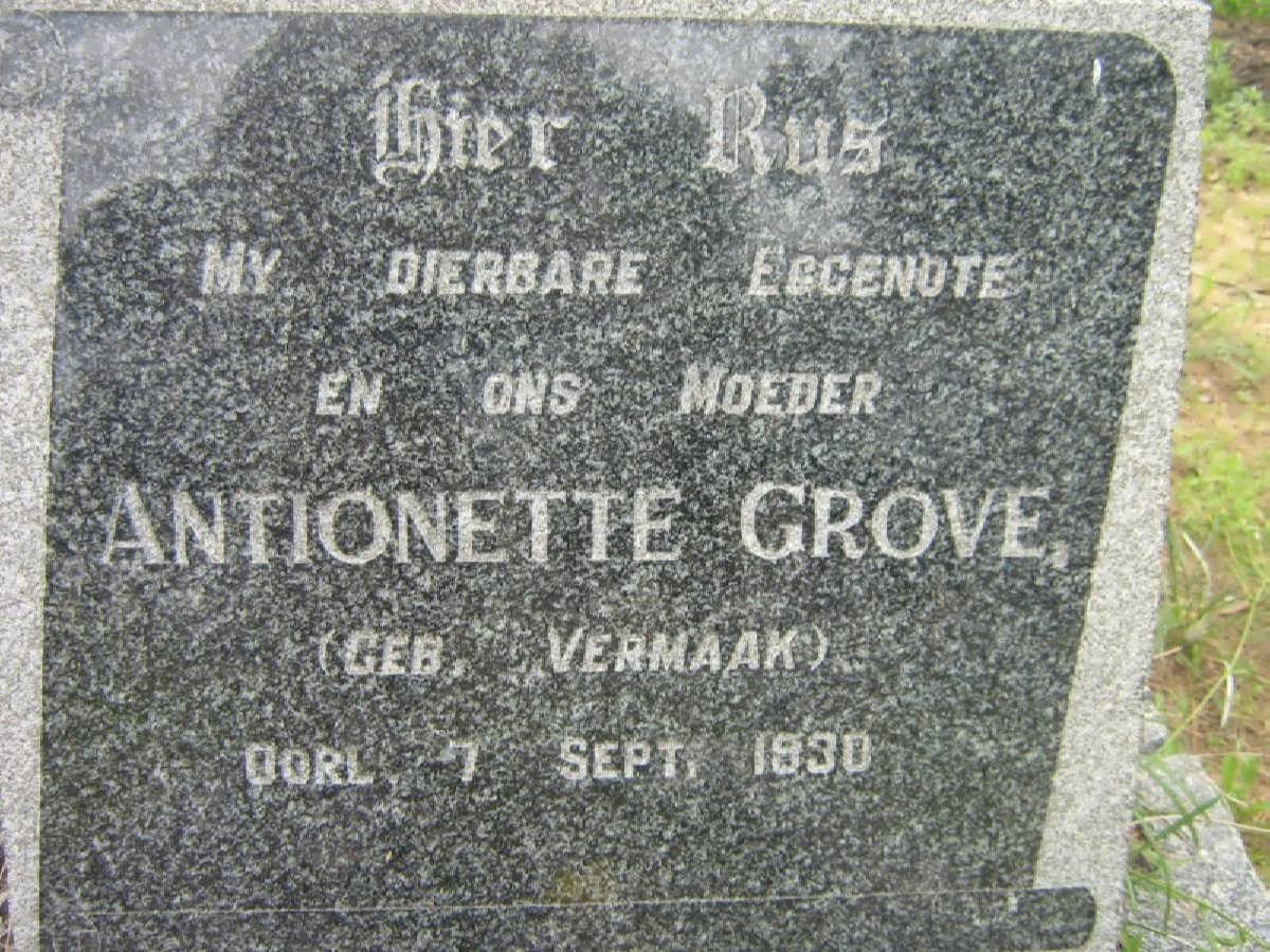 GROVE Antionette nee VERMAAK -1930