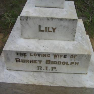 BIDDOLPH Lily