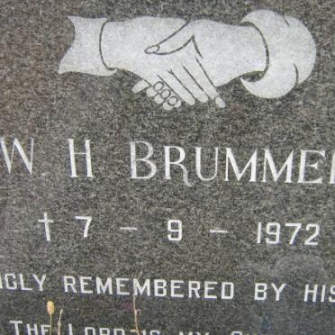 BRUMMER W.H. -1972