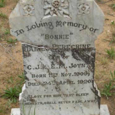 JOYNT James Peregrine 1909-1920