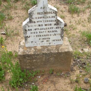 MORGAN Alfred 1920-1920 :: MORGAN Raymond 1920-1920