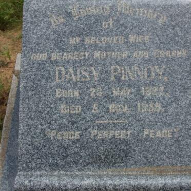 PINNOY Daisy 1827-1958