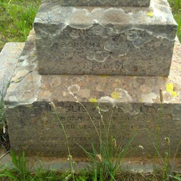 WEAKLEY Leslie 1893-1894 :: WEAKLEY Florence  nee MAY?