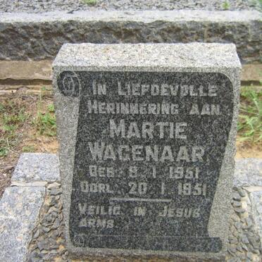 WAGENAAR Martie 1951-1951