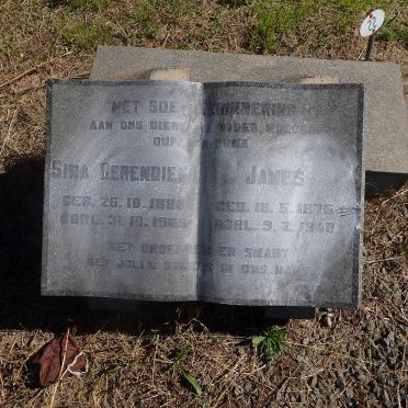MacGREGOR James 1875-1940 &amp; Sina Berendiena 1888-1965 