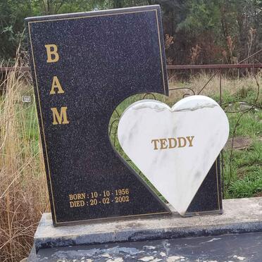 BAM Teddy 1956-2002