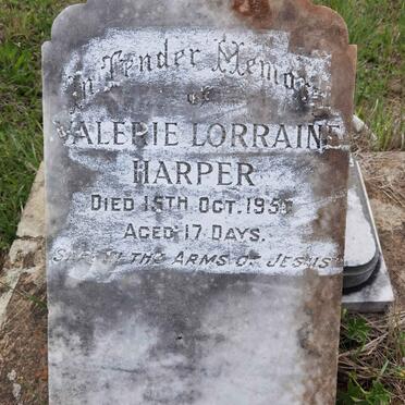 HARPER Valerie Lorraine -195?