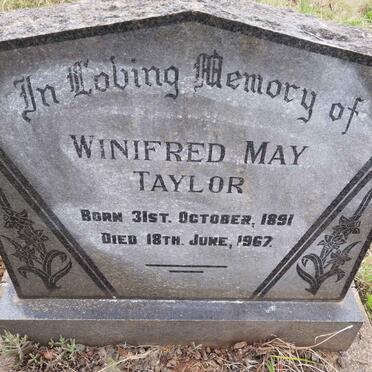 TAYLOR Winifred May 1891-1967