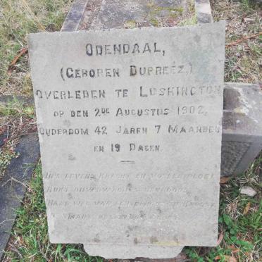 ODENDAAL Cornelia Carolina nee DU PREEZ -1902 