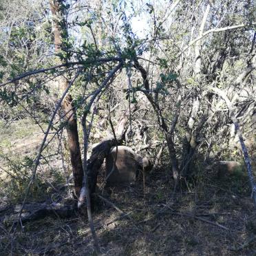 Eastern Cape, MPOFU district, Uitkyk 872_1, farm cemetery
