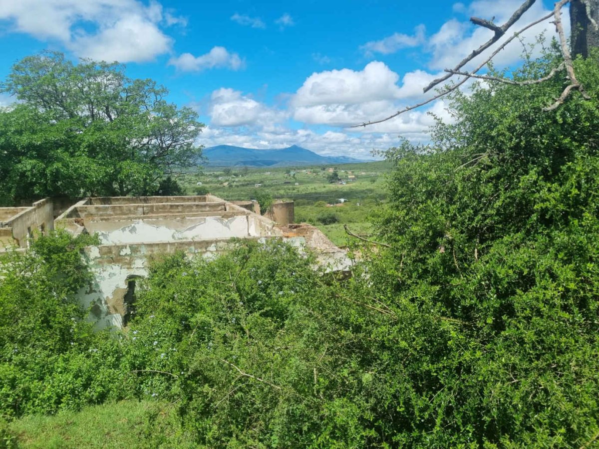 2. Oorsig/Overview