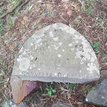 ODENDAAL Cornelia Carolina nee DU PREEZ -1902