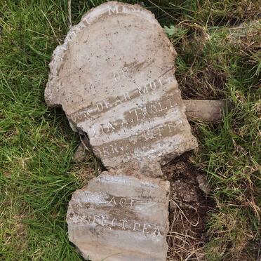 Eastern Cape, MPOFU district, Katberg State Forest, KwaNcaza (Readsdale), Pine Hill 56, farm cemetery