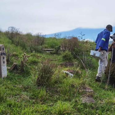 5. Overview / Oorsig