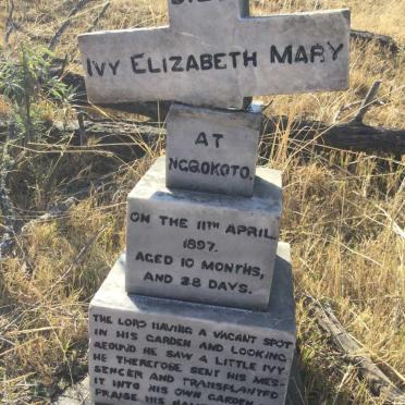 MORIARTY Ivy Elizabeth Mary -1897