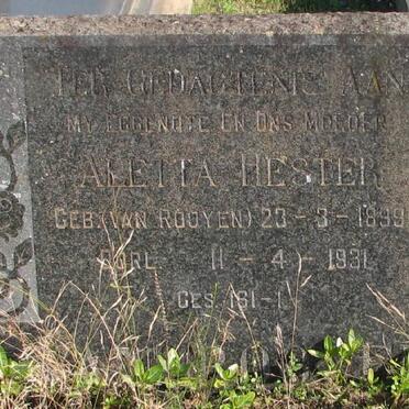 ? Aletta Hester nee VAN ROOYEN 1899-1931