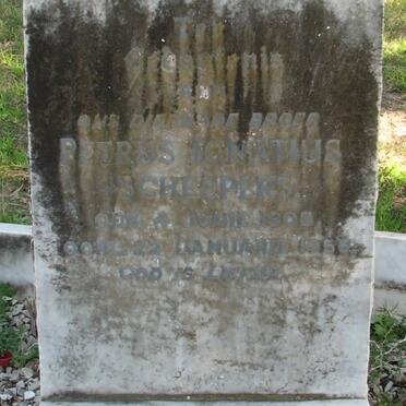 SCHEEPERS Petrus Ignatius 1905-1956