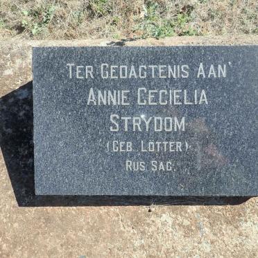 STRYDOM Annie Cecielia nee LOTTER
