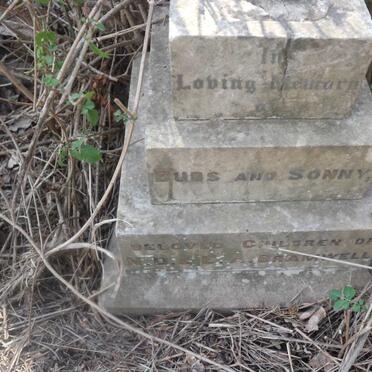 BRAMWELL Bubs :: BRAMWELL Sonny